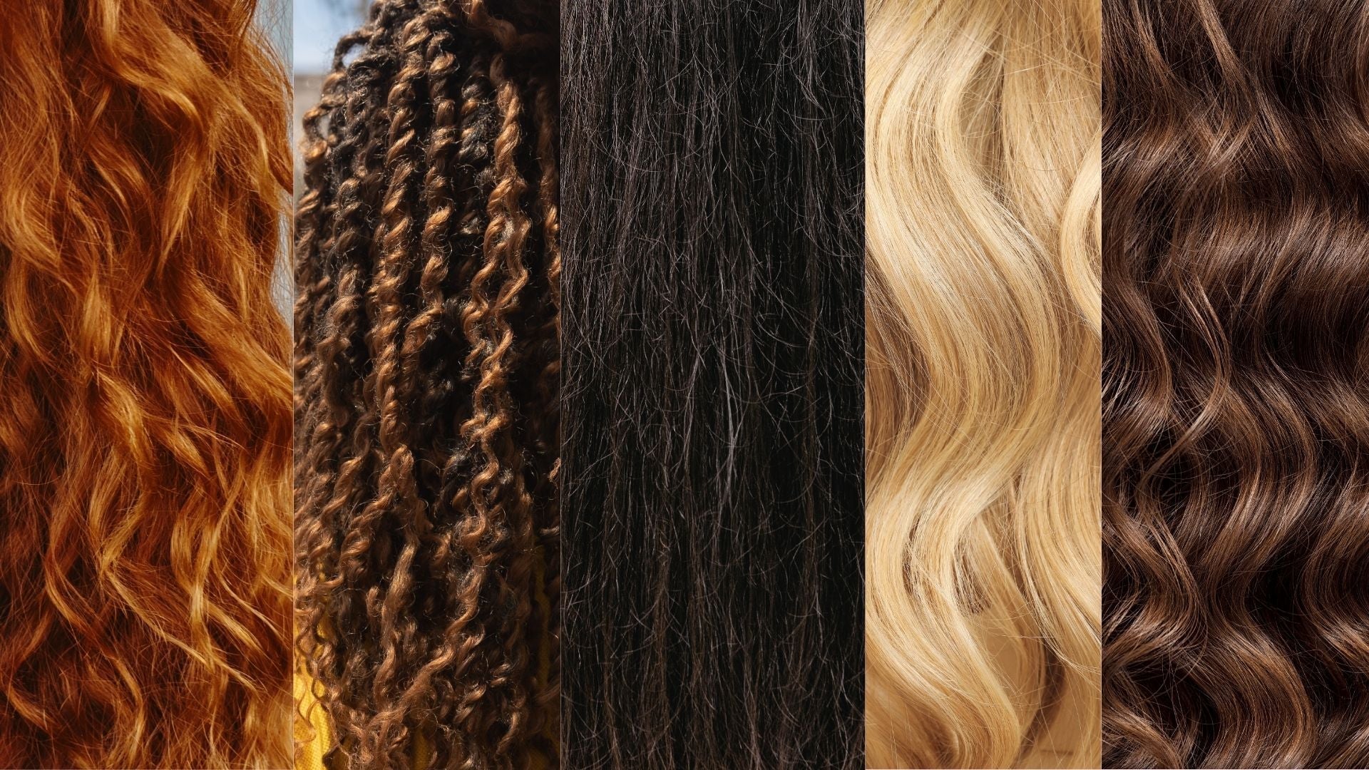 The Nutrients That Support Healthy Hair (And Why Your Plate Matters More Than Your Shampoo) - PolyBiotics