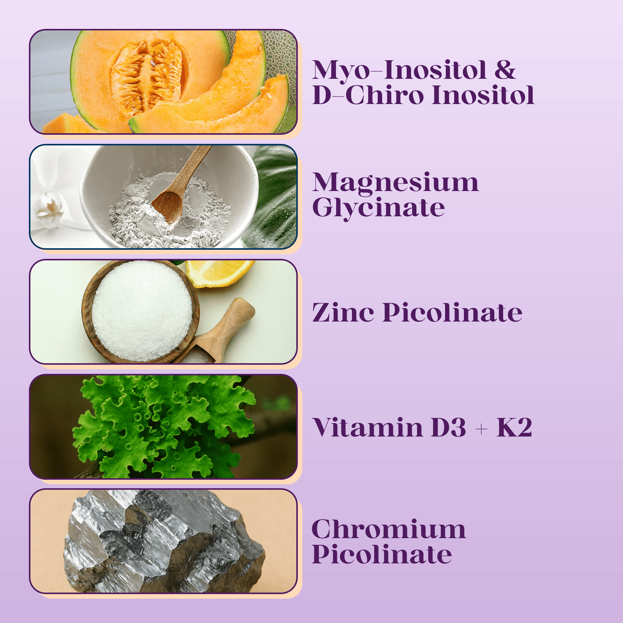 Daily Hormonal Essentials Kit - PolyBiotics