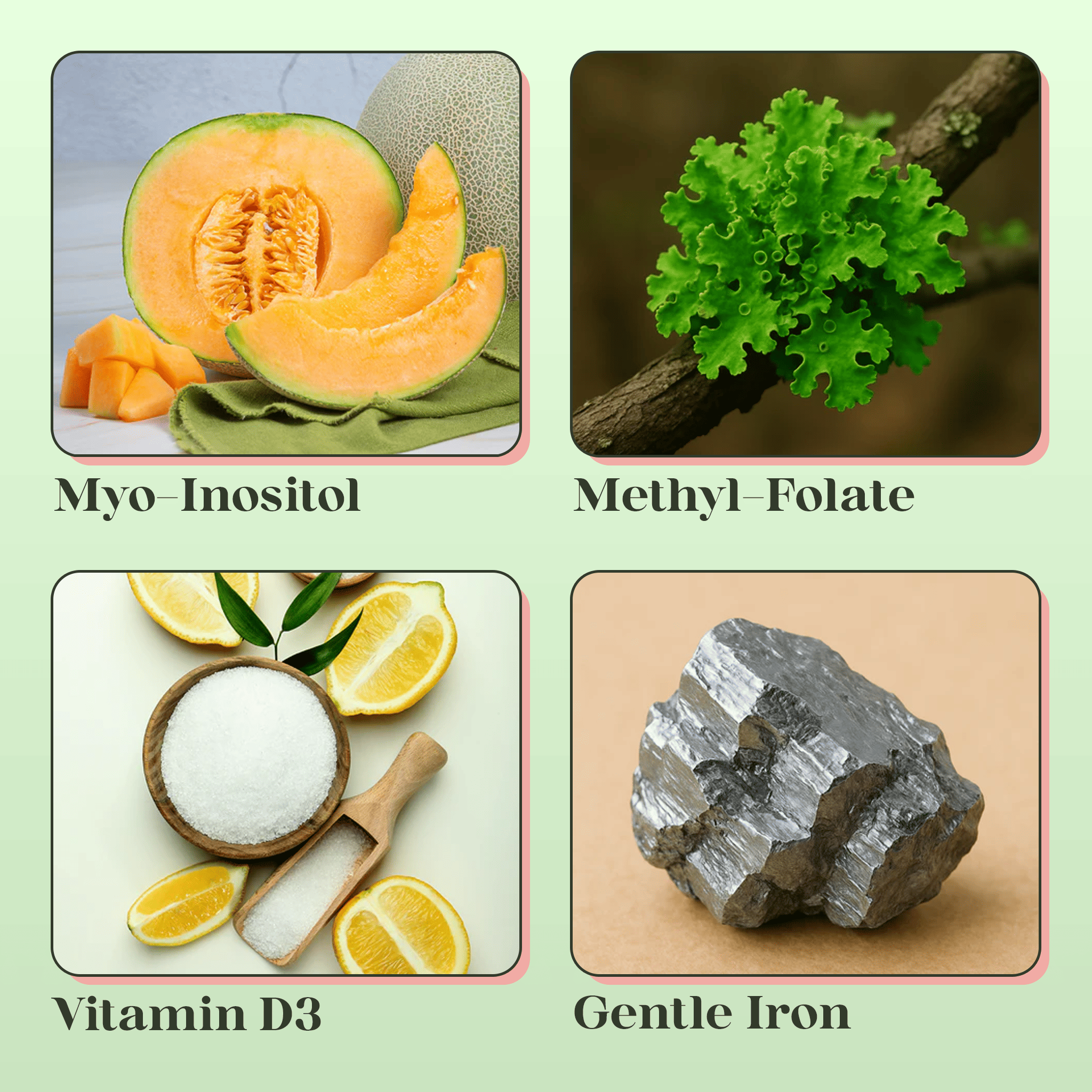 Pregnancy Formula — Pre & Post - Natal Nutritional Support - PolyBiotics